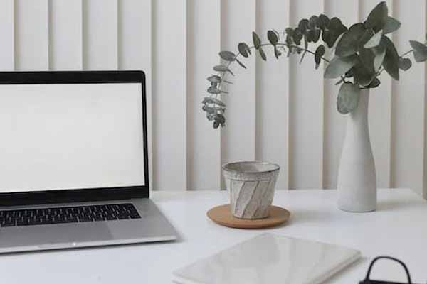 ����������Ṥ��ʦ2024�꿼�Ա���ʱ��