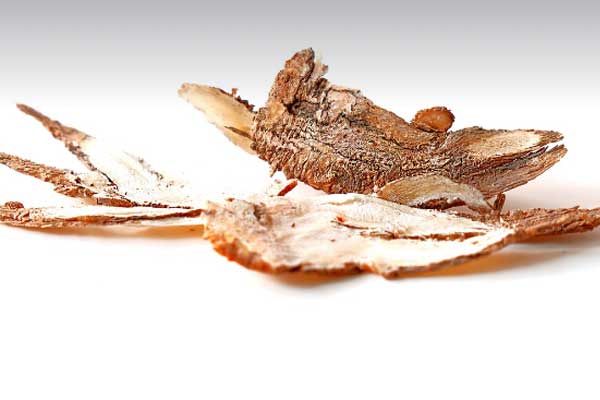 ������ҽר��ҽʦ�ʸ�֤�����￼���ÿ���