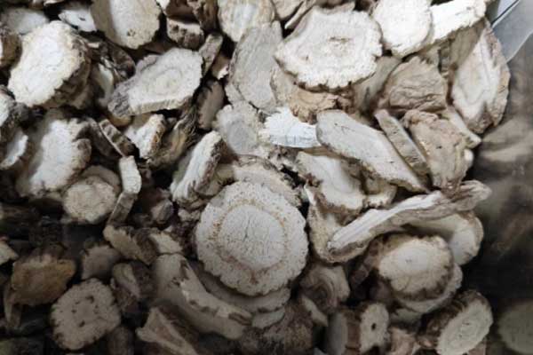 ������ҽר��ҽʦ�ʸ�֤�����￼���ÿ���