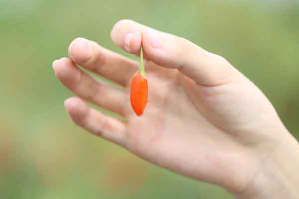 ������ҽר��ҽʦ�ʸ�֤�����￼���ÿ���