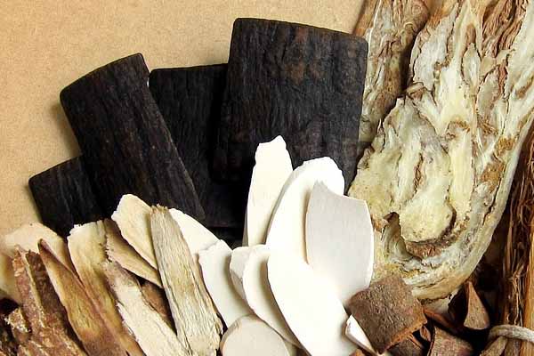 �γ���ҽר��ҽʦ�ʸ�֤�����￼���ÿ���