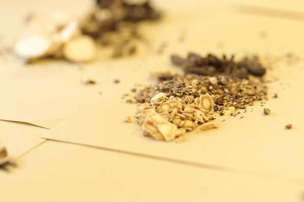 ��Ǩ��ҽר��ҽʦ�ʸ�֤�����￼���ÿ���