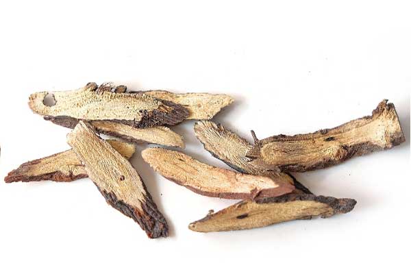  ������ҽר��ҽʦ�ʸ�֤�����￼���ÿ���