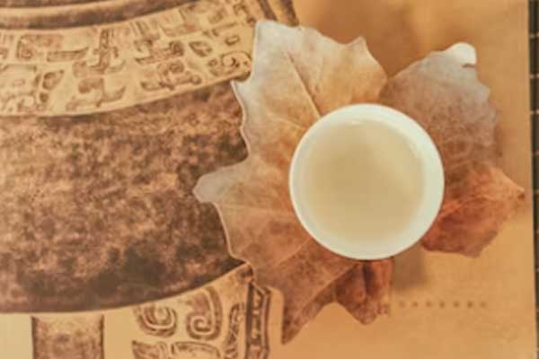 �˴���ҽר��ҽʦ�ʸ�֤�����￼���ÿ���