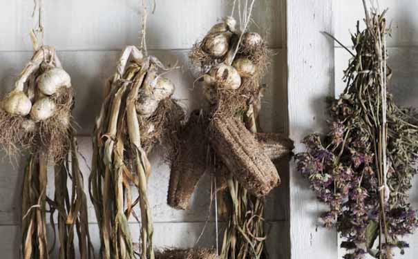 �����ҽר��ҽʦ�ʸ�֤�����￼���ÿ���