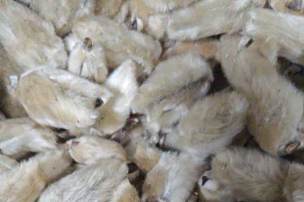 ������ҽר��ҽʦ�ʸ�֤�����￼���ÿ���