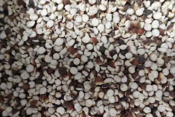 武昌中医专长医师资格证在哪里考?好考吗?