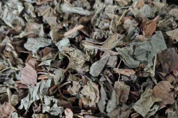 ������ҽר��ҽʦ�ʸ�֤�����￼���ÿ���