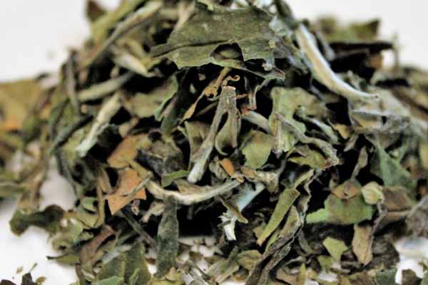 �ɶ���ҽר��ҽʦ�ʸ�֤�����￼���ÿ���