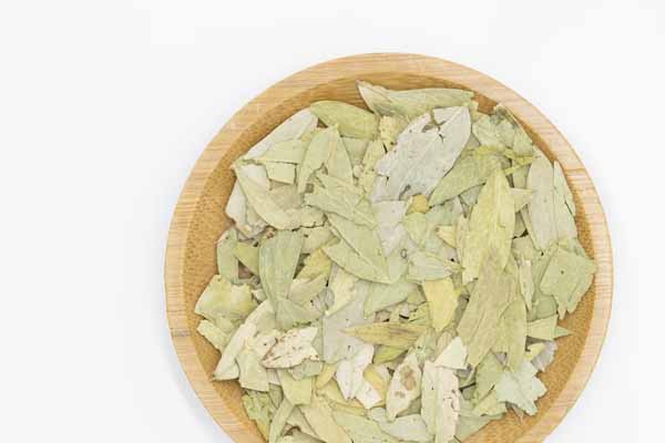 黄冈中医专长医师资格证在哪里考?好考吗?