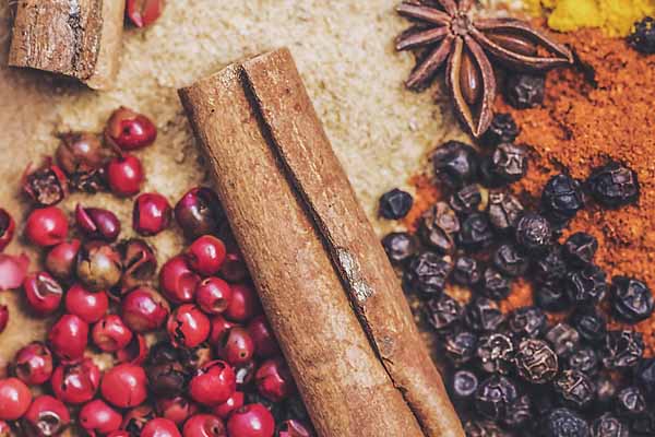 �˱���ҽר��ҽʦ�ʸ�֤�����￼���ÿ���