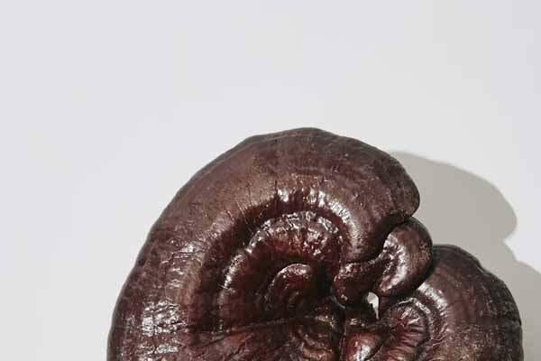 贵州中医专长医师资格证在哪里考?好考吗?