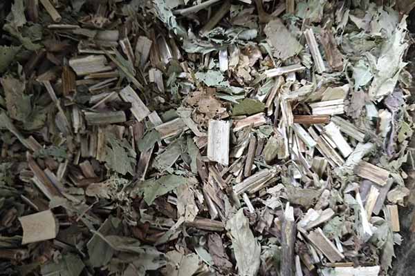 ������ҽר��ҽʦ�ʸ�֤�����￼���ÿ���