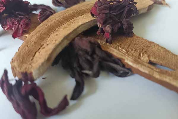 ��ͨ��ҽר��ҽʦ�ʸ�֤�����￼���ÿ���