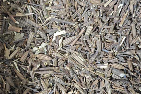 遵义中医专长医师资格证在哪里考?好考吗