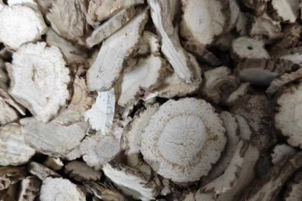 ������ҽר��ҽʦ�ʸ�֤�����￼���ÿ���