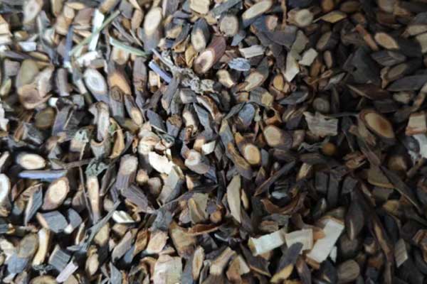 红河中医专长医师资格证在哪里考?好考吗?