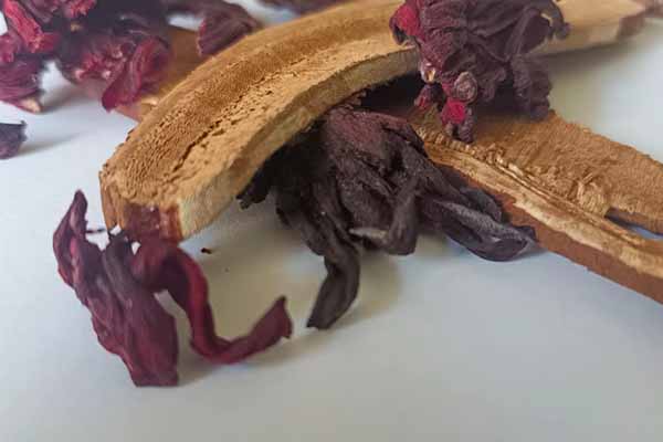 宁夏中医专长医师资格证在哪里考?好考吗?