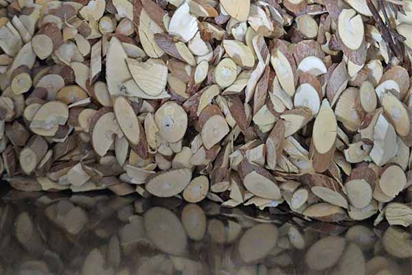 ������ҽר��ҽʦ�ʸ�֤�����￼���ÿ���