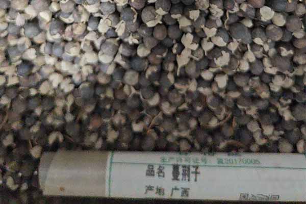 �Ӱ���ҽר��ҽʦ�ʸ�֤�����￼���ÿ���