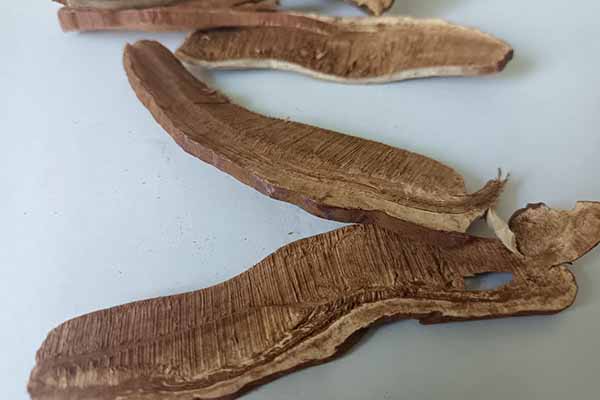 ������ҽר��ҽʦ�ʸ�֤�����￼���ÿ���