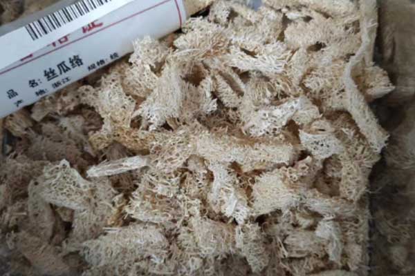 天水中医专长医师资格证在哪里考?好考吗?