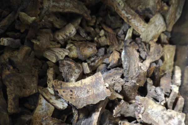 �½���ҽר��ҽʦ�ʸ�֤�����￼���ÿ���