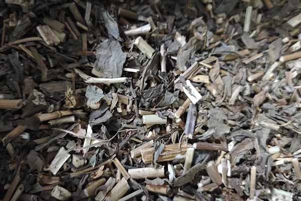 ������ҽר��ҽʦ�ʸ�֤�����￼���ÿ���