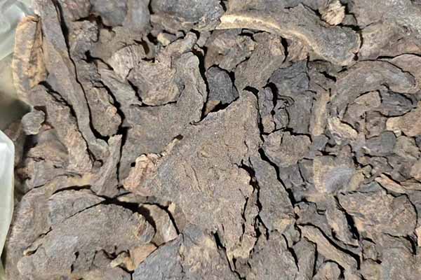 ������ҽר��ҽʦ�ʸ�֤�����￼���ÿ���