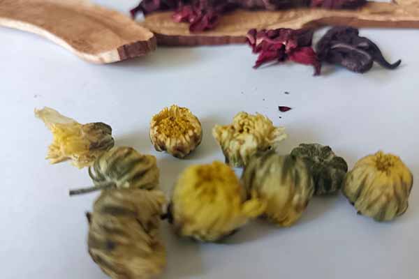 �㶫��ҽר��ҽʦ�ʸ�֤�����￼���ÿ���