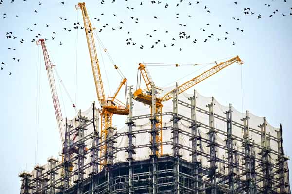 ʯ��ׯ��������ʦ������γ�